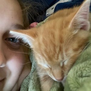 Meet your Posher, Ella